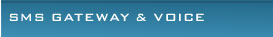 SMS Gateway & Voice Solution SMS Gateway & Voice Solution